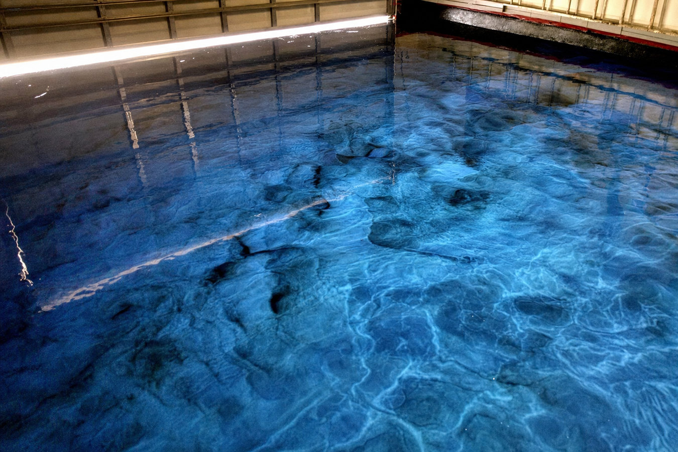 Stained Concrete Flooring